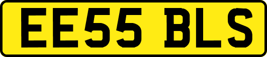 EE55BLS