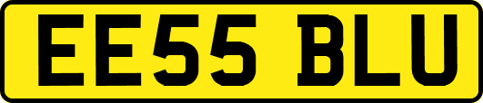 EE55BLU