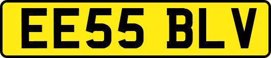 EE55BLV