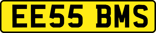 EE55BMS