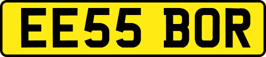 EE55BOR