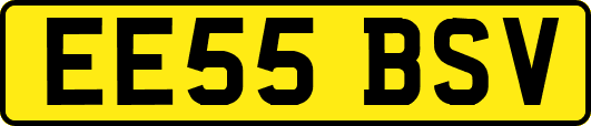 EE55BSV