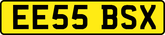 EE55BSX