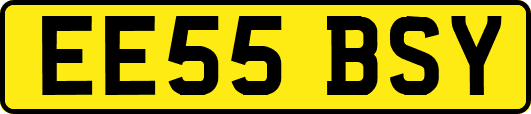 EE55BSY
