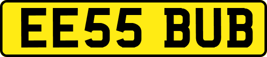 EE55BUB