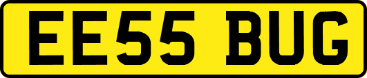 EE55BUG