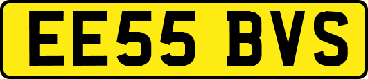 EE55BVS