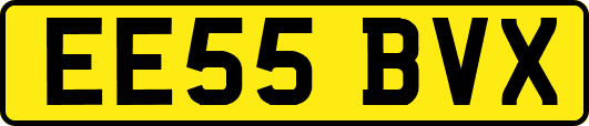 EE55BVX