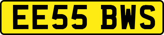 EE55BWS