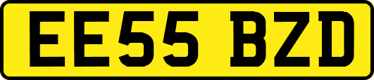 EE55BZD
