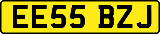 EE55BZJ
