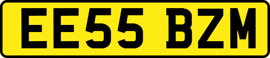 EE55BZM