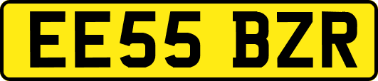 EE55BZR