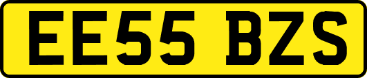EE55BZS