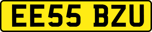 EE55BZU