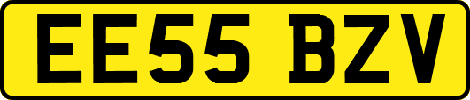 EE55BZV