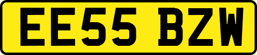 EE55BZW