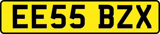 EE55BZX