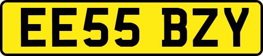 EE55BZY