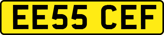 EE55CEF
