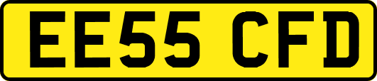 EE55CFD