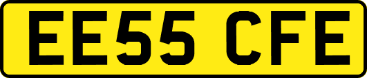 EE55CFE