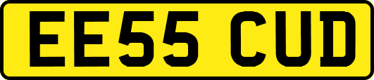 EE55CUD