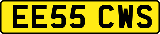 EE55CWS