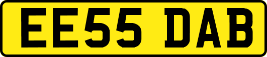 EE55DAB