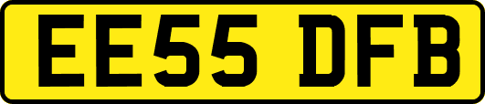 EE55DFB