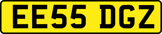 EE55DGZ