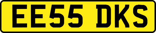 EE55DKS