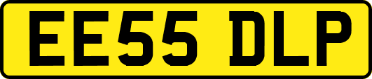 EE55DLP