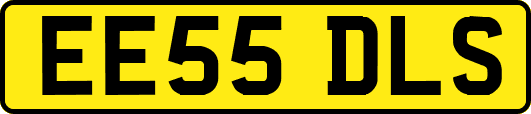 EE55DLS