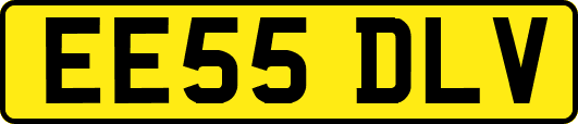 EE55DLV