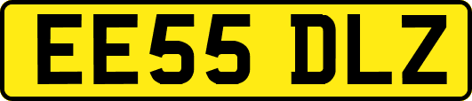 EE55DLZ