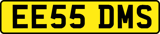 EE55DMS