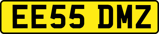 EE55DMZ