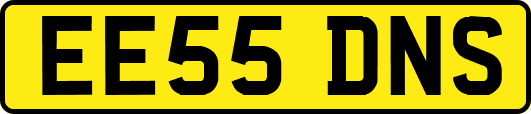EE55DNS