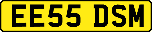 EE55DSM