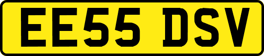 EE55DSV