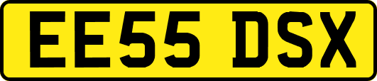 EE55DSX