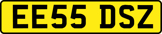 EE55DSZ