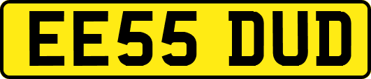 EE55DUD