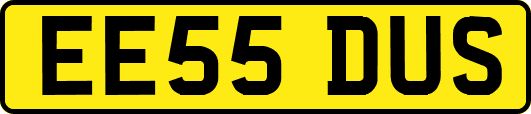 EE55DUS