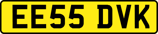 EE55DVK