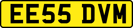 EE55DVM