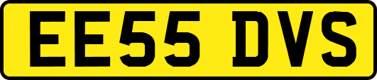 EE55DVS