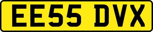 EE55DVX