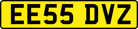 EE55DVZ